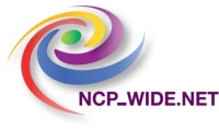 Sustainability of public investment - a record from the webinar