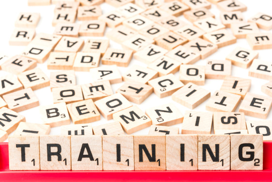 On-line Training on MSCA Doctoral Networks: 2022 Call, 19 May 2022